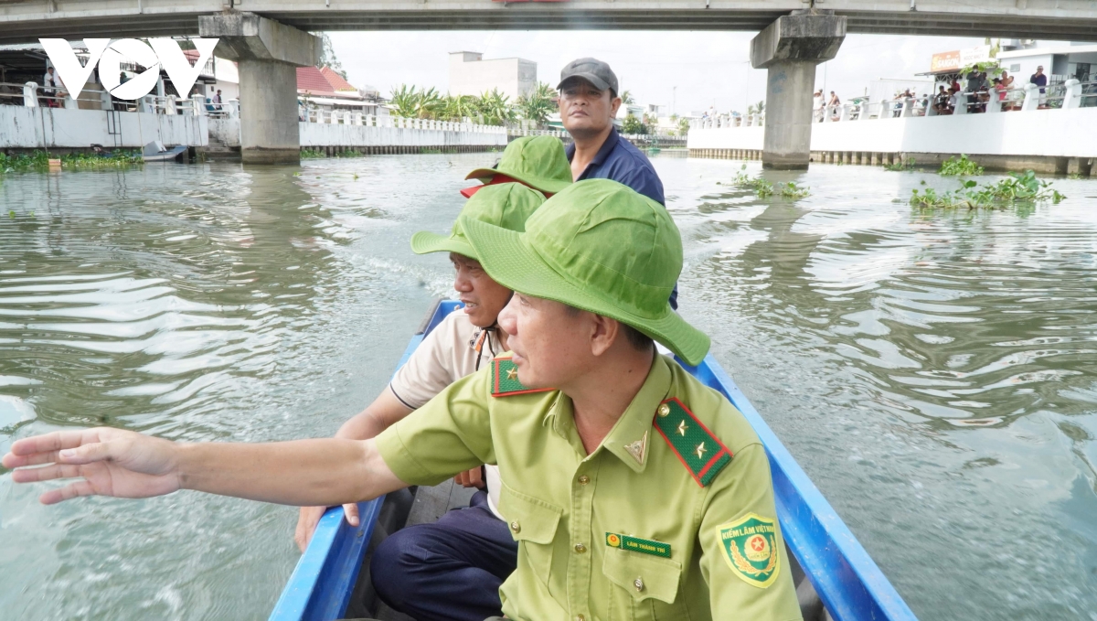 Thông tin 2 con cá sấu xuất hiện ở sông Tiểu Cần là không chính xác